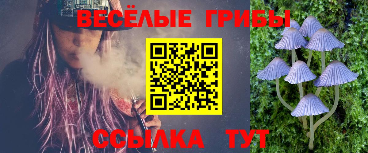 Галлюциногенные грибы Psilocybine cubensis Щёкино